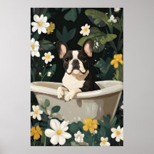 Rolig Poster Med Fransk Bulldog I Badtunna, Hund