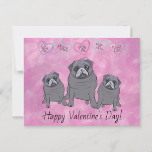 Rolig Pug Valentine Vykort