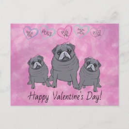 Rolig Pug Valentine Vykort
