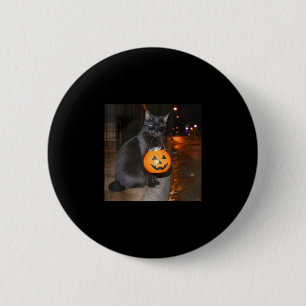 Rolig pumpa katt meme bus eller godis halloween knapp