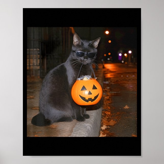 Rolig pumpa katt meme bus eller godis halloween poster (Framsidan)