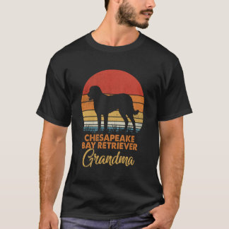Rolig Retro Vintage Solnedgång Chesapeake Bay Retr T Shirt