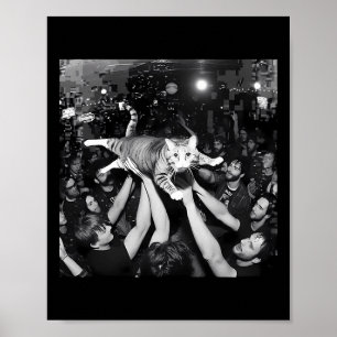 Rolig Rockshow Katt Meme Söt Tabby Kattunge Publik Poster