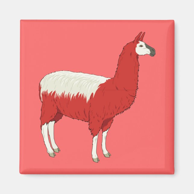 Rolig Röd Lama Magnet (Framsidan)