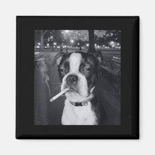 Rolig Rökande Hund Meme Cigarett Gen Z Meme Hund Ä Magnet