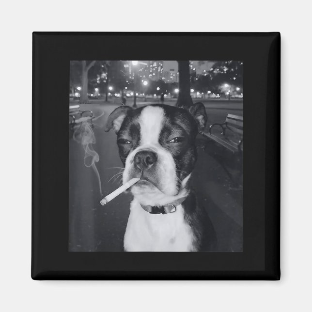 Rolig Rökande Hund Meme Cigarett Gen Z Meme Hund Ä Magnet (Framsidan)