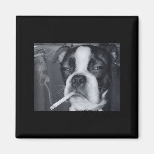 Rolig Rökande Hund Meme Cigarett Gen Z Meme Hund Ä Magnet