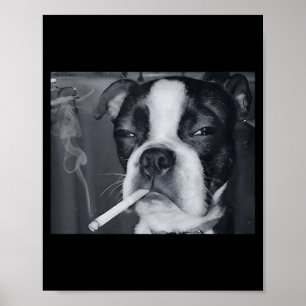 Rolig Rökande Hund Meme Cigarett Gen Z Meme Hund Ä Poster