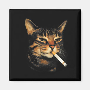 Rolig Rökande Katt Cigarett Kattunge Meme Dum Hjär Magnet