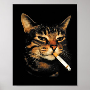 Rolig Rökande Katt Cigarett Kattunge Meme Dum Hjär Poster