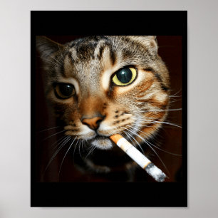 Rolig Rökande Katt Meme Mörk Humor Sarksatisk Katt Poster