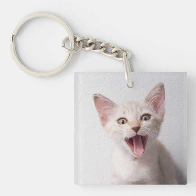 Rolig rolig kattfoto (Framsidan)