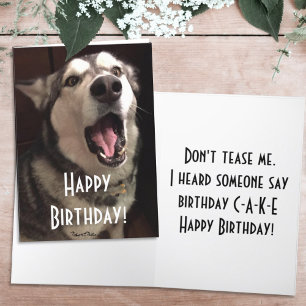 Rolig sång Alaskan Malamute Hund Fotografiet Kort