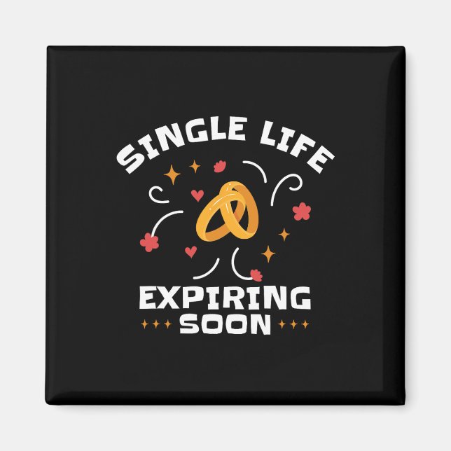 Rolig Sängkammarparty Singelliv Jga  Magnet (Framsidan)