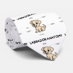 Rolig serie av gul labrador-anatomi slips