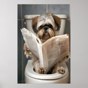 Rolig Shih Tzu-badrumstryck, läser tidning Poster