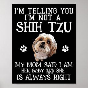 Rolig Shih Tzu Shihtzu Present Mamma Mamma Bebis H Poster