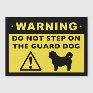 Rolig Shih Tzu Vakt Hund Varning