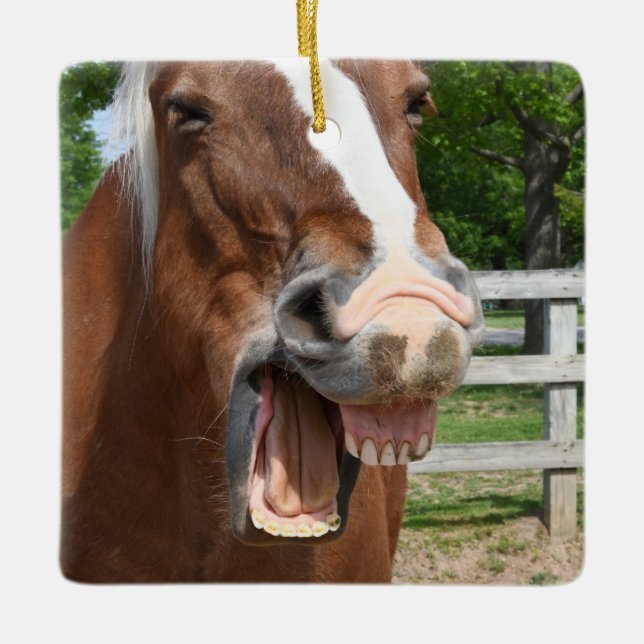 Rolig skratta häst julgransprydnad keramik (Framsida)