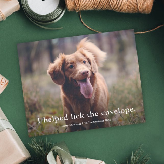 Rolig slicka på kuvertet husdjur julkort (Funny pet photo christmas holiday cards.)