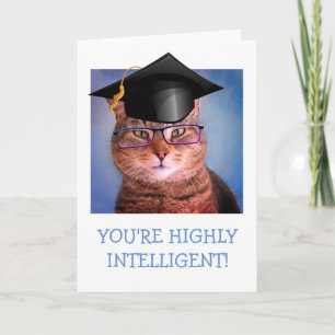 Rolig Smart Katt Examen Kort