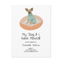 Rolig söt chihuahua hund illustration som flyttar