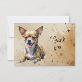 Rolig Söt Chihuahua Hund Tack Kort