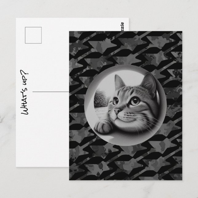 Rolig Söt Cool Katt Vad är Upp Djur Hej Meow Vykort (Fram/baksida)
