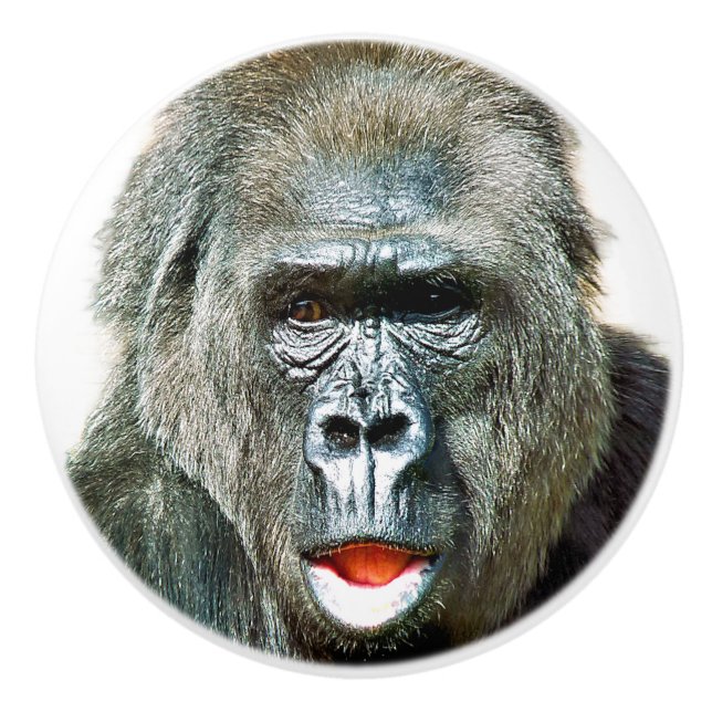 ROlig SÖT GORILLA Knopp (Framsidan)