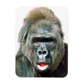 ROlig SÖT GORILLA Magnet