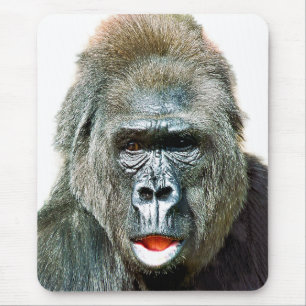 ROlig SÖT GORILLA Musmatta