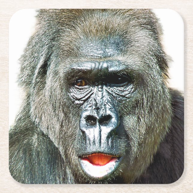ROlig SÖT GORILLA Underlägg Papper Kvadrat (Framsidan)