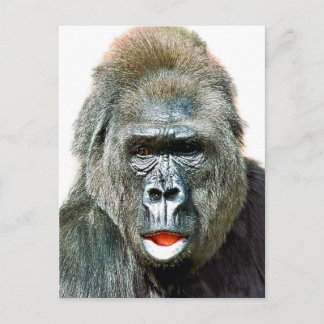 ROlig SÖT GORILLA Vykort