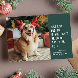 Rolig söt husdjur foto jul firande kort