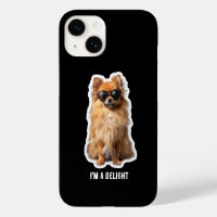 Rolig söt Pomeranian hund, jag är en glädje
