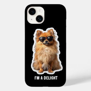 Rolig söt Pomeranian hund, jag är en glädje