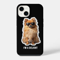Rolig söt Pomeranian hund, jag är en glädje