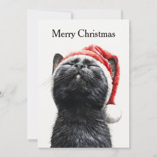 Rolig söt seriehumoristisk katt God Jul Julkort