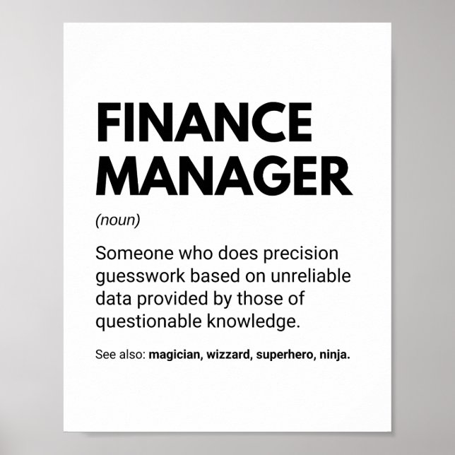 Rolig specialistdefinition för finanschef poster (Framsidan)