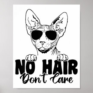 Rolig Sphynx Katt Inget Hår Bryr Sig Inte Om Kalle Poster
