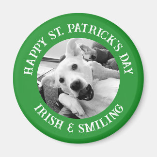Rolig St. Patrick's Day irländsk och leende hund Magnet
