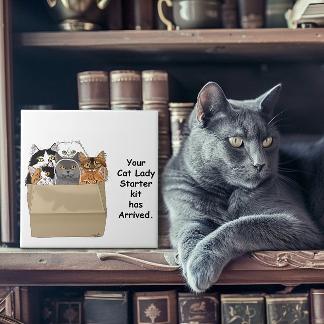 Rolig startkit för kattdamer humor vit kakelplatta (Skapare uppladdad)