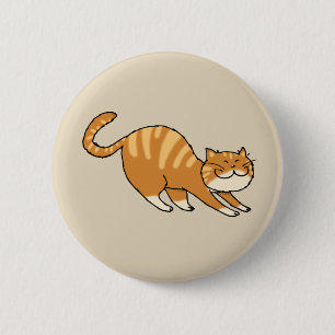 rolig sträckande katt knapp