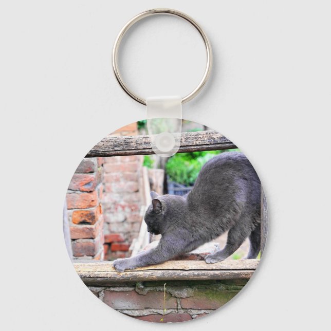 Rolig sträckande katt nyckelring (Framsida)