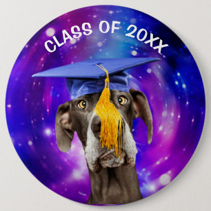 Rolig studentenhund som ha på sig hatten knapp