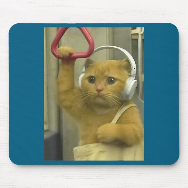 Rolig Subway Katt Meme Stud Brainrot Katter Humor  Musmatta (Framsidan)