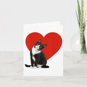 Rolig svart katt Alla hjärtans dag Hjärtformad Smo Kort
