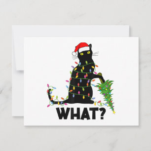 Rolig svart katt som knuffar julgran över katt ch julkort