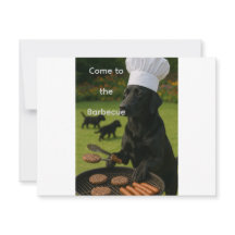 Rolig svart Labrador grillkock