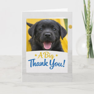 Rolig svart labrador-valp Tack-kort Söt hund Tack Kort